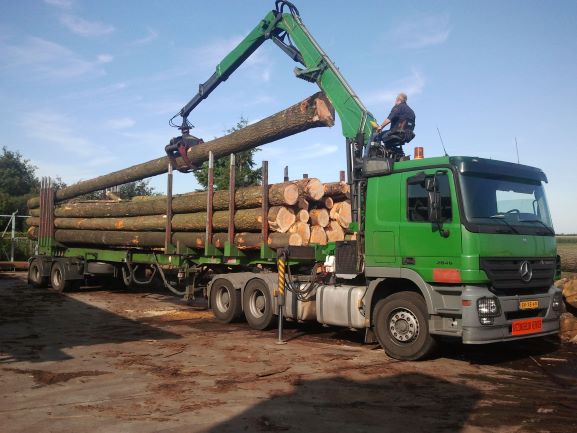 Woedend spiraal Storen Foto impressie - Houthandel Drent